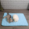 ChillPaws™ I De beste verkoeling voor uw huisdier