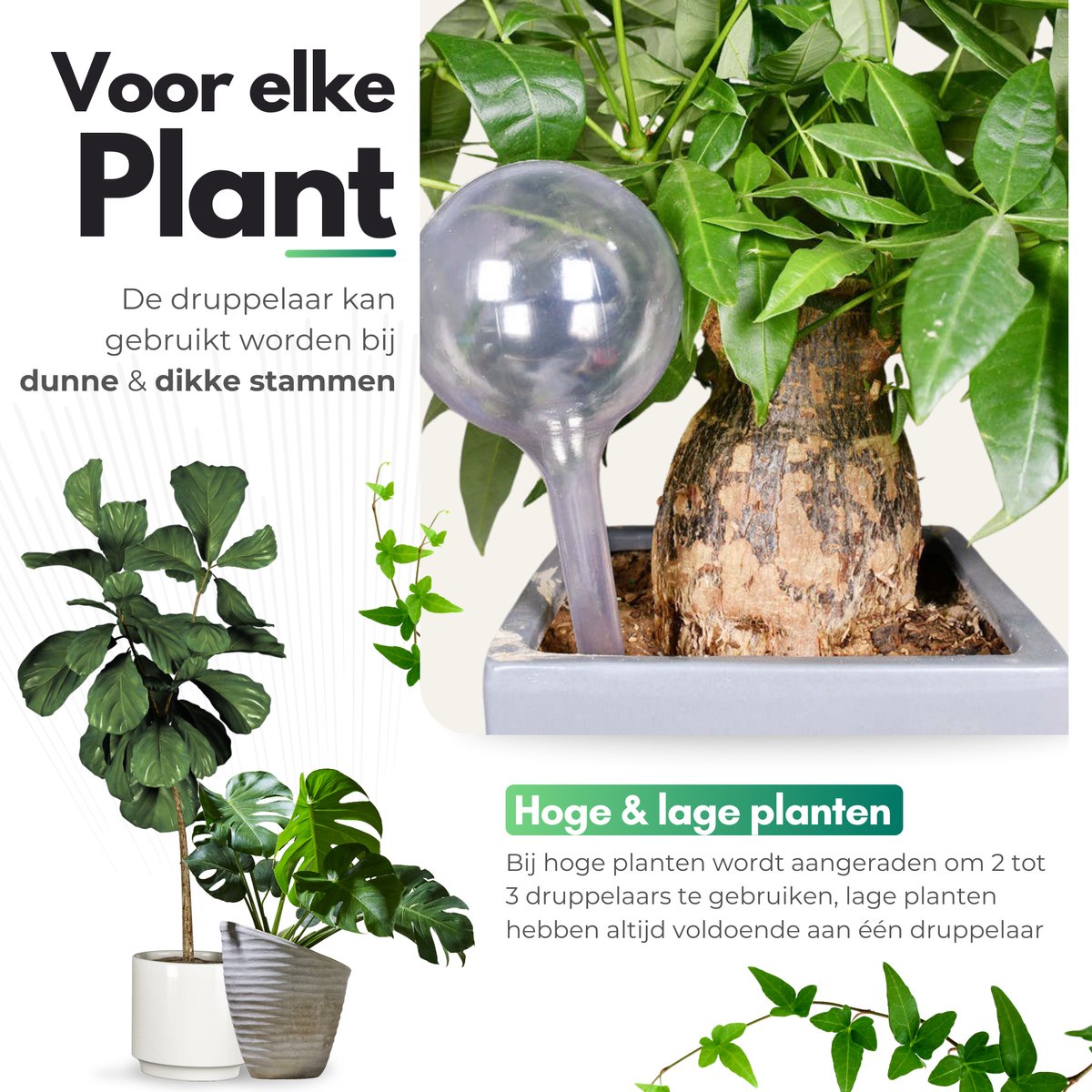HydraBulb™ I Je planten nooit meer zonder water!