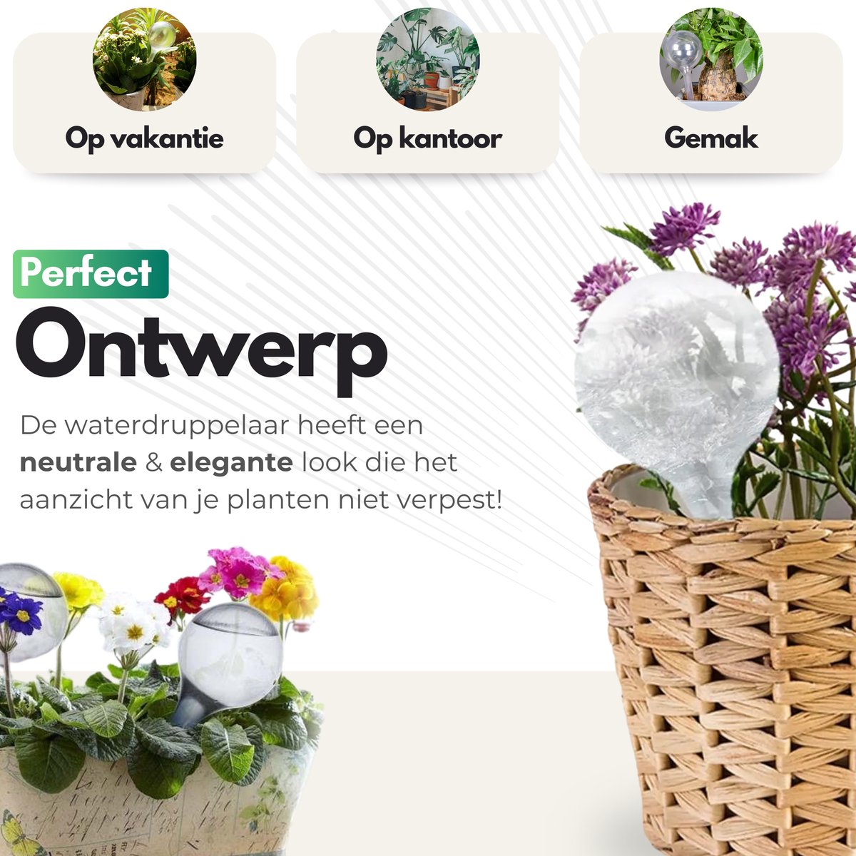 HydraBulb™ I Je planten nooit meer zonder water!