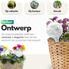 HydraBulb™ I Je planten nooit meer zonder water!