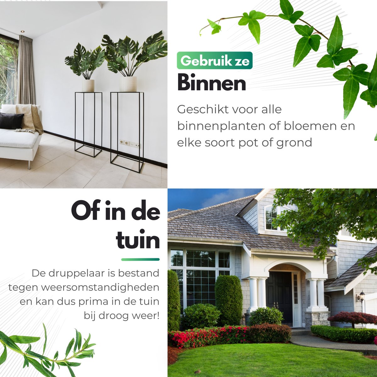 HydraBulb™ I Je planten nooit meer zonder water!