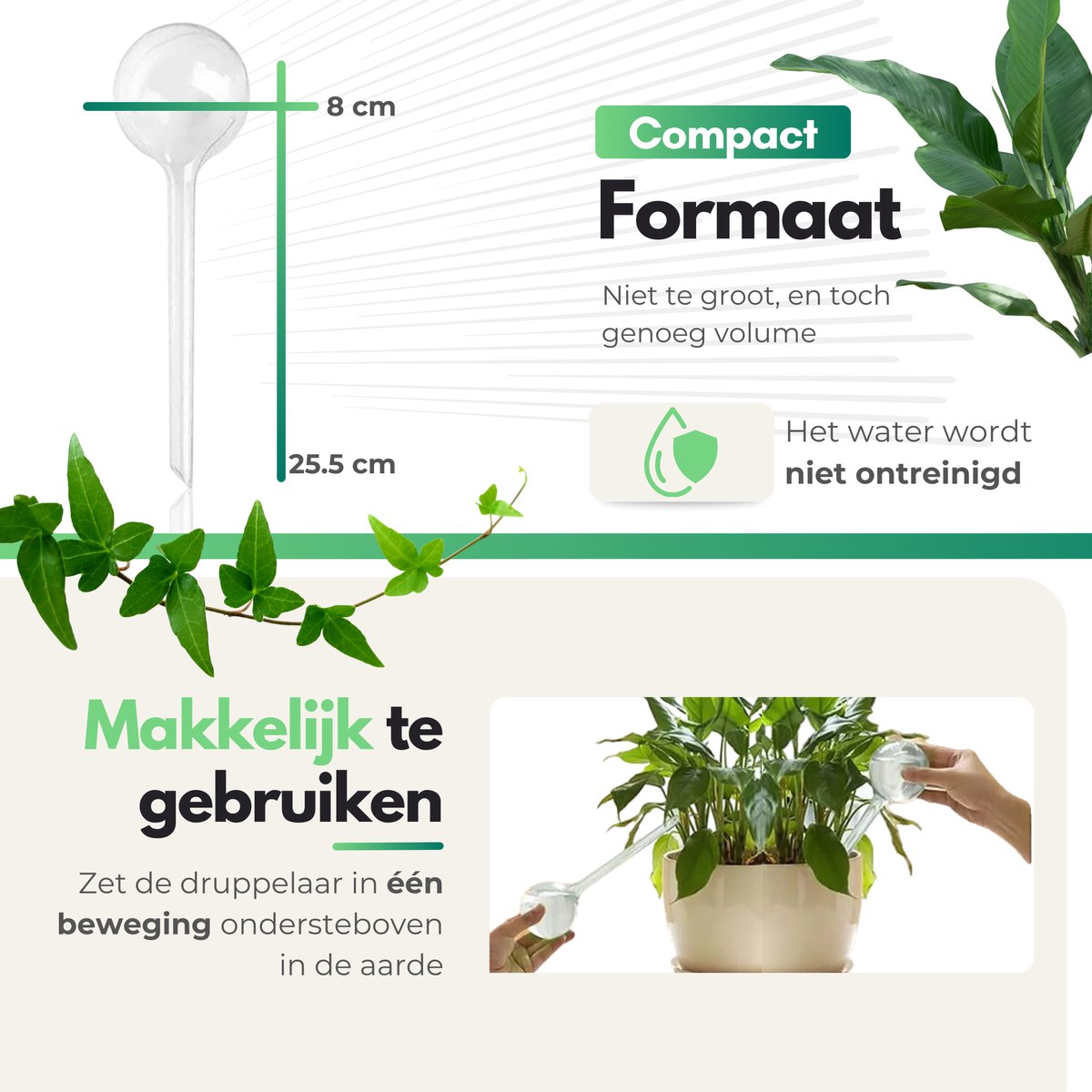 HydraBulb™ I Je planten nooit meer zonder water!