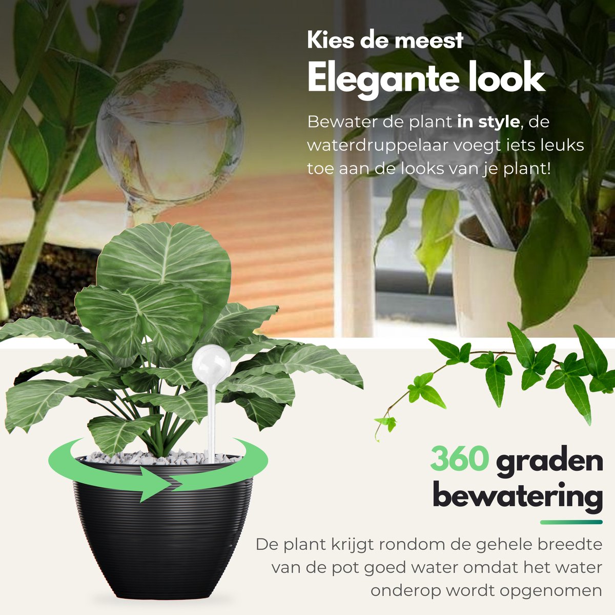 HydraBulb™ I Je planten nooit meer zonder water!