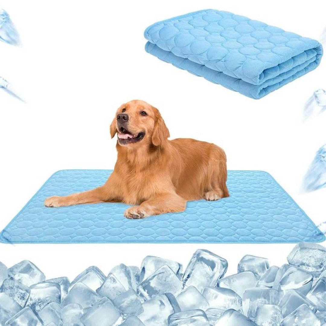 ChillPaws™ I De beste verkoeling voor uw huisdier