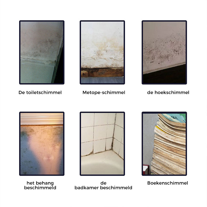 FreshFoam™ | De beste oplossing tegen hardnekkige schimmel