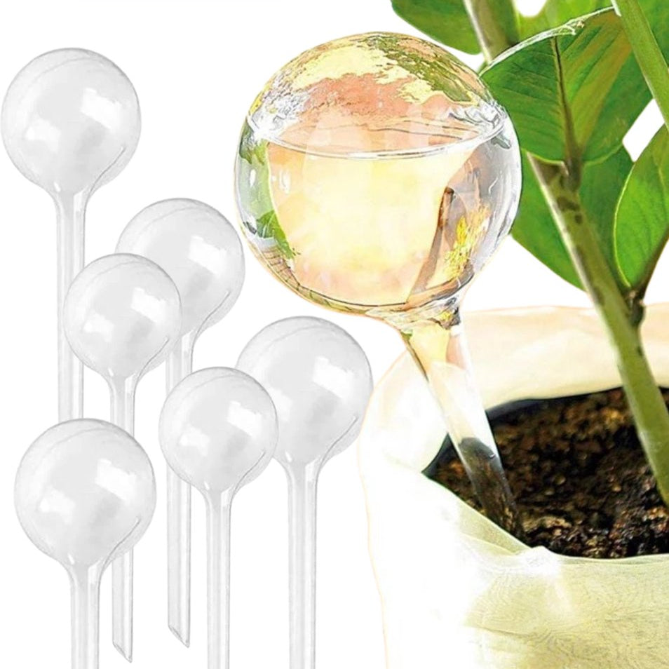HydraBulb™ I Je planten nooit meer zonder water!