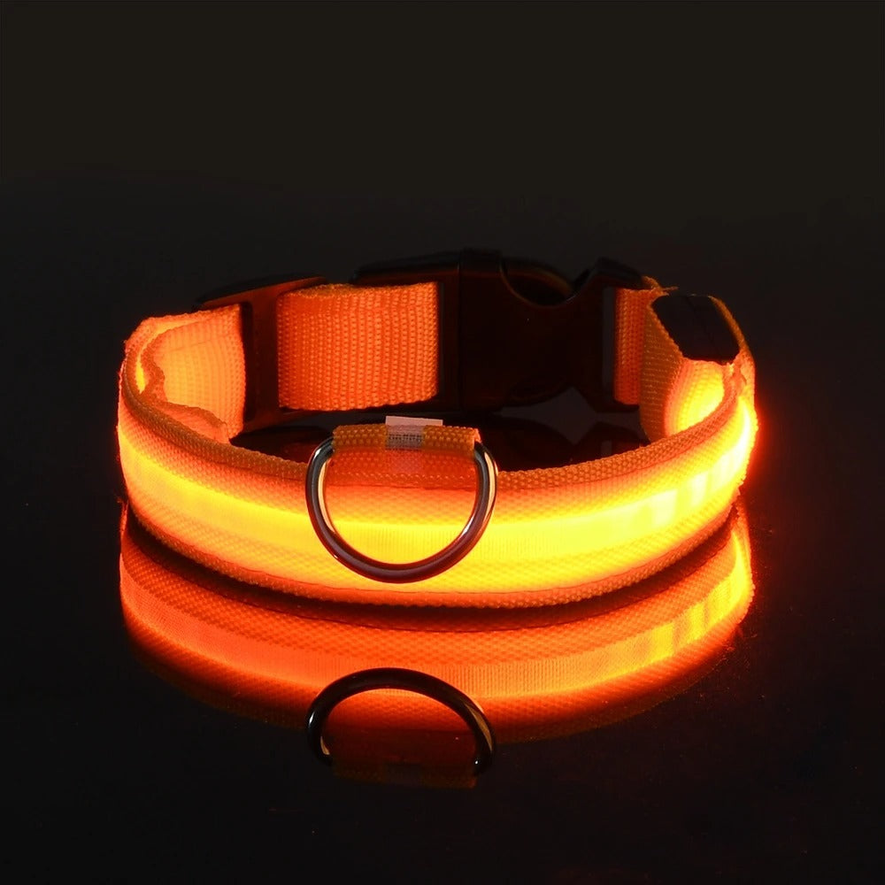BrightBuddy™ | Zichtbaar en veilig in het donker!