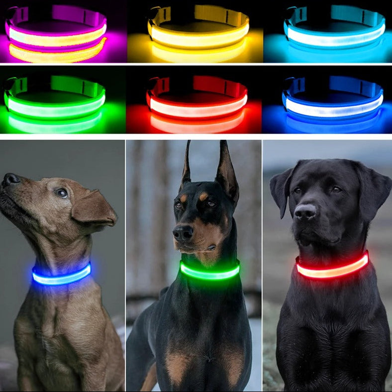 BrightBuddy™ | Zichtbaar en veilig in het donker!