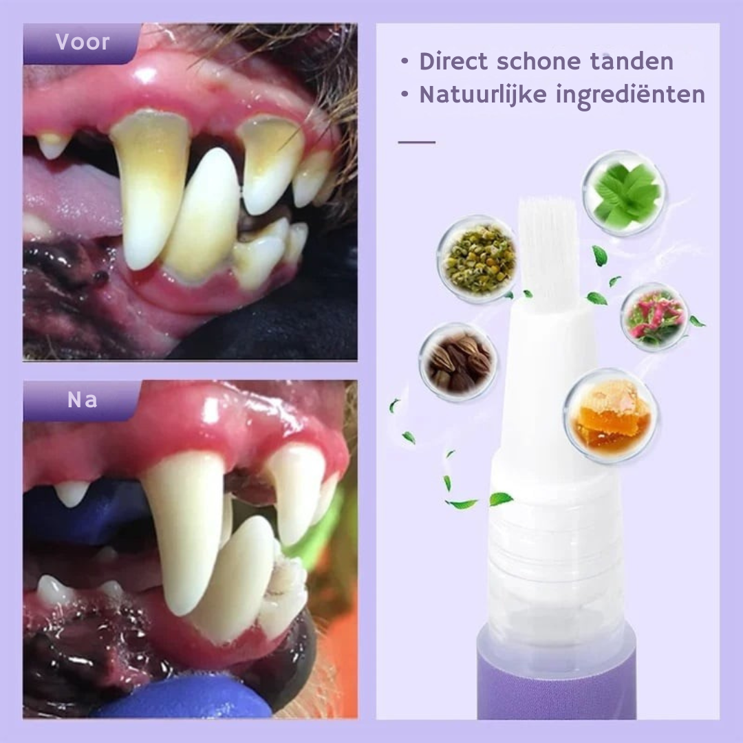 PawSmile™ | Dé oplossing voor slechte adem bij je huisdier