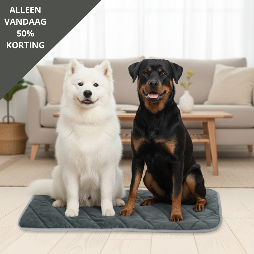 WarmPaw™ | De veiligste manier om je huisdier warm te houden
