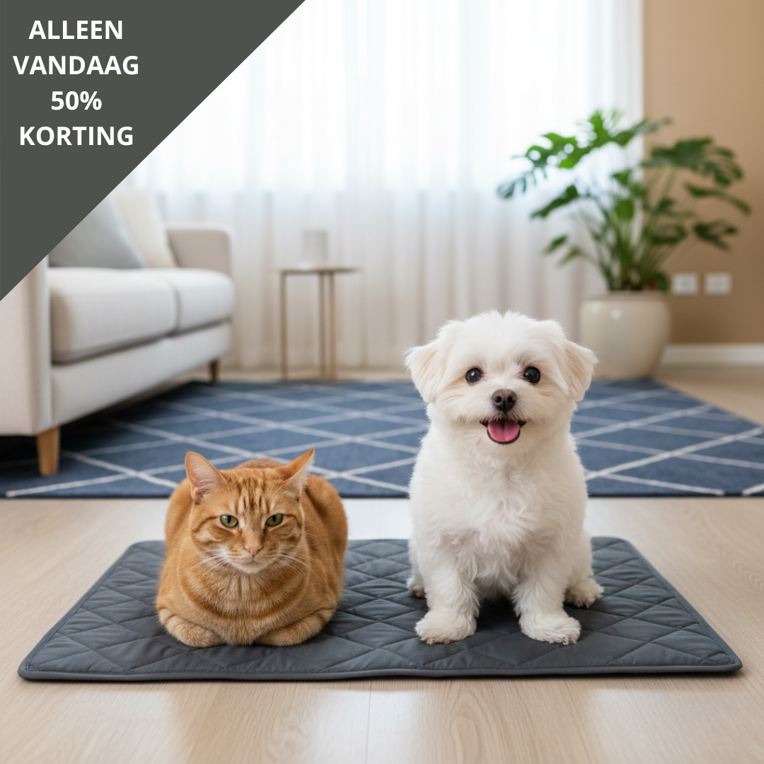 WarmPaw™ | De veiligste manier om je huisdier warm te houden